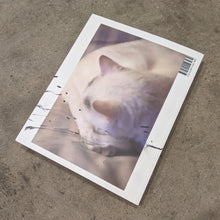 Load image into Gallery viewer, Pope.L - One Thing After Another