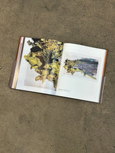 Load image into Gallery viewer, Rodney McMillian: A Son of the Soil
